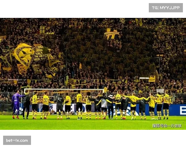 多特蒙德主场防守稳固 场均失0.67球成联赛最佳防线